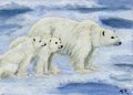 Crossing The Ice - a polar bear and cub
