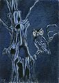 Haunted tree and owl